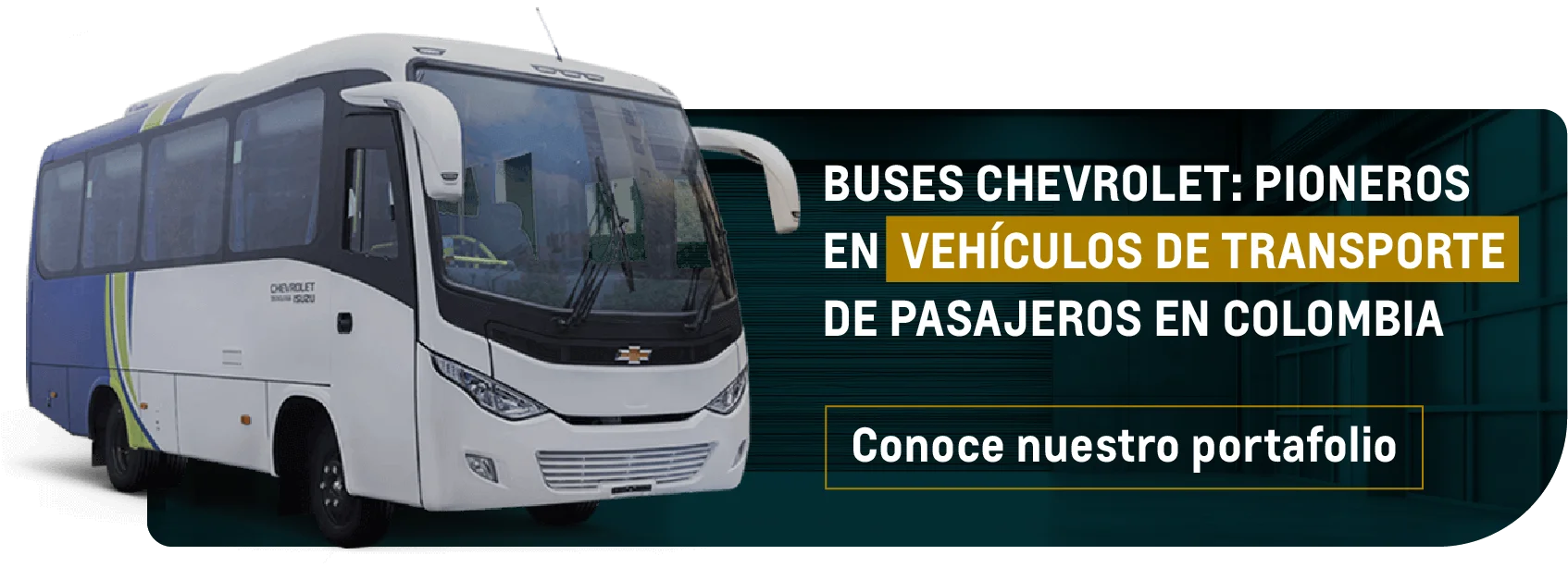 Buses